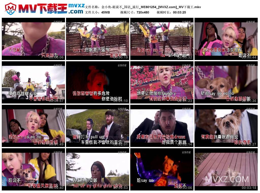 金小鱼-姐说不_国语_流行_ME801254